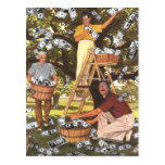 Money Tree Postcard