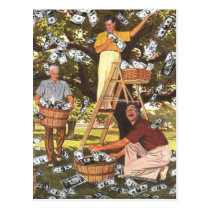 Money Tree Postcard postcards