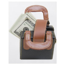 MoneyBag061509 Personalized Flyer