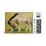 Mongol Horse #3- Young Stallion Postage