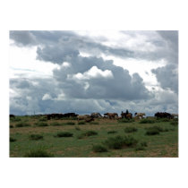 Mongolian Horses posters