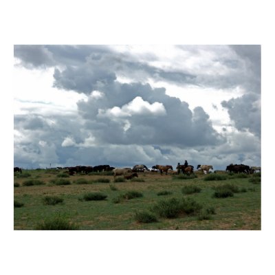 Mongolian Horses Print by palzang