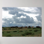 Mongolian Horses posters