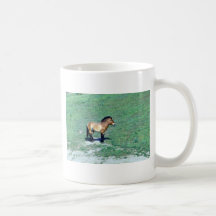 Mongolian (Przewalskii) Wild Horse Coffee Mugs