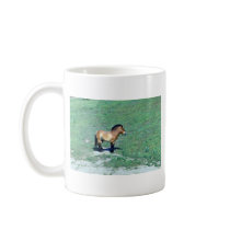 Mongolian (Przewalskii) Wild Horse Coffee Mugs