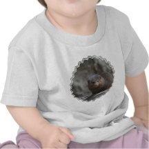 mongoose-13.jpg shirt