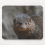 Mongoose Mouse Pad