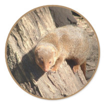 mongoose stickers