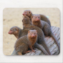 Mongooses mousepads