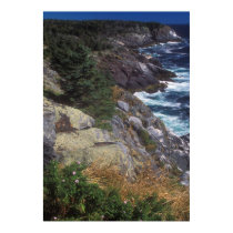 Monhegan Island Cliff View Posters