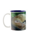 monitor lizard mugs