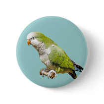 Monk Parakeet Button