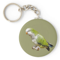 Monk Parakeet keychains