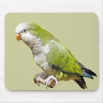 Monk Parakeet mousepads by kphotos Monk Parakeet mousepads