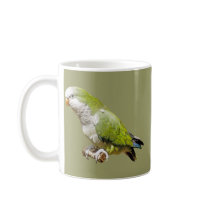 Monk Parakeet Mugs