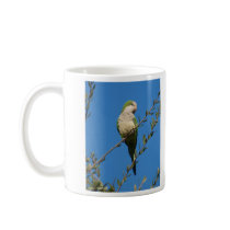 Monk Parakeet Mug mugs