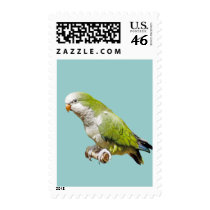 Monk Parakeet postage