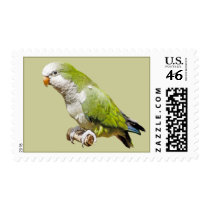 Monk Parakeet stamps