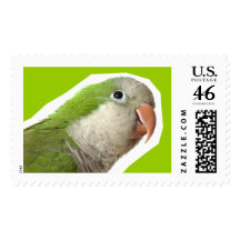 Monk Parakeet Postage Stamps