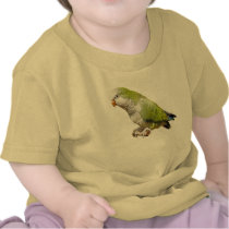 Monk Parakeet t-shirts