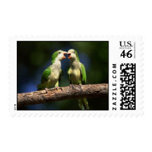 Monk Parakeets Postage Stamp