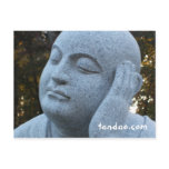 Monk Post Card