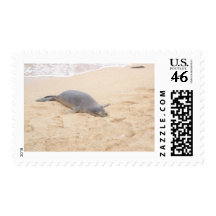 Monk Seal Sleeping Alone on Beach Postage