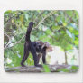 Monkey and Baby Mousepad