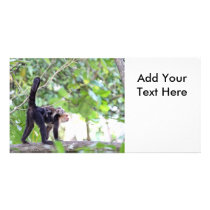 Monkey and Baby Personalized Photo Card