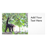 Monkey and Baby Personalized Photo Card