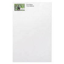Monkey and Baby Customized Stationery