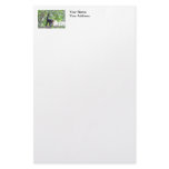 Monkey and Baby stationery