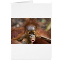 Monkey business 1 cards