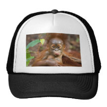 Monkey business 3 mesh hats