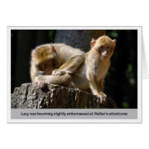 Monkey Business Cards