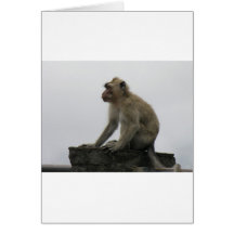 Monkey Business Greeting Card