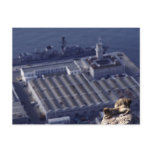 Monkey Business In Gibraltar Post Cards
