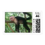 Monkey Business postage