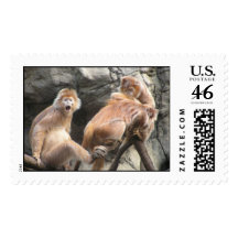 Monkey Business Postage Stamps