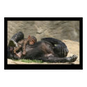 Monkey Business posters by cARTerART Monkey Business posters