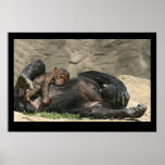 Monkey Business Posters