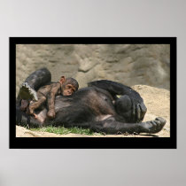 Monkey Business Posters