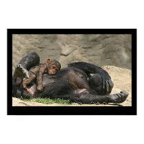 Monkey Business posters