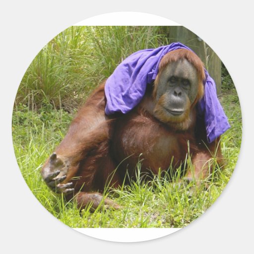 monkey business round stickers