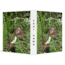 Monkey Business with Jungle Neighbors binders