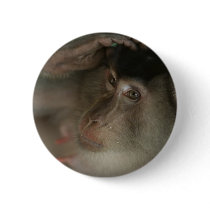 Monkey Button