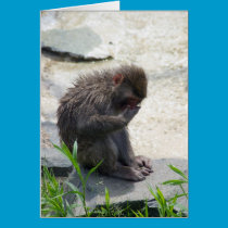 Monkey Card cards