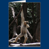 Monkey Card