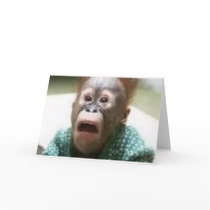Monkey cards
