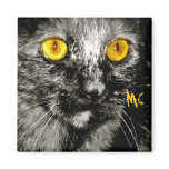 Monkey Cat Magnet